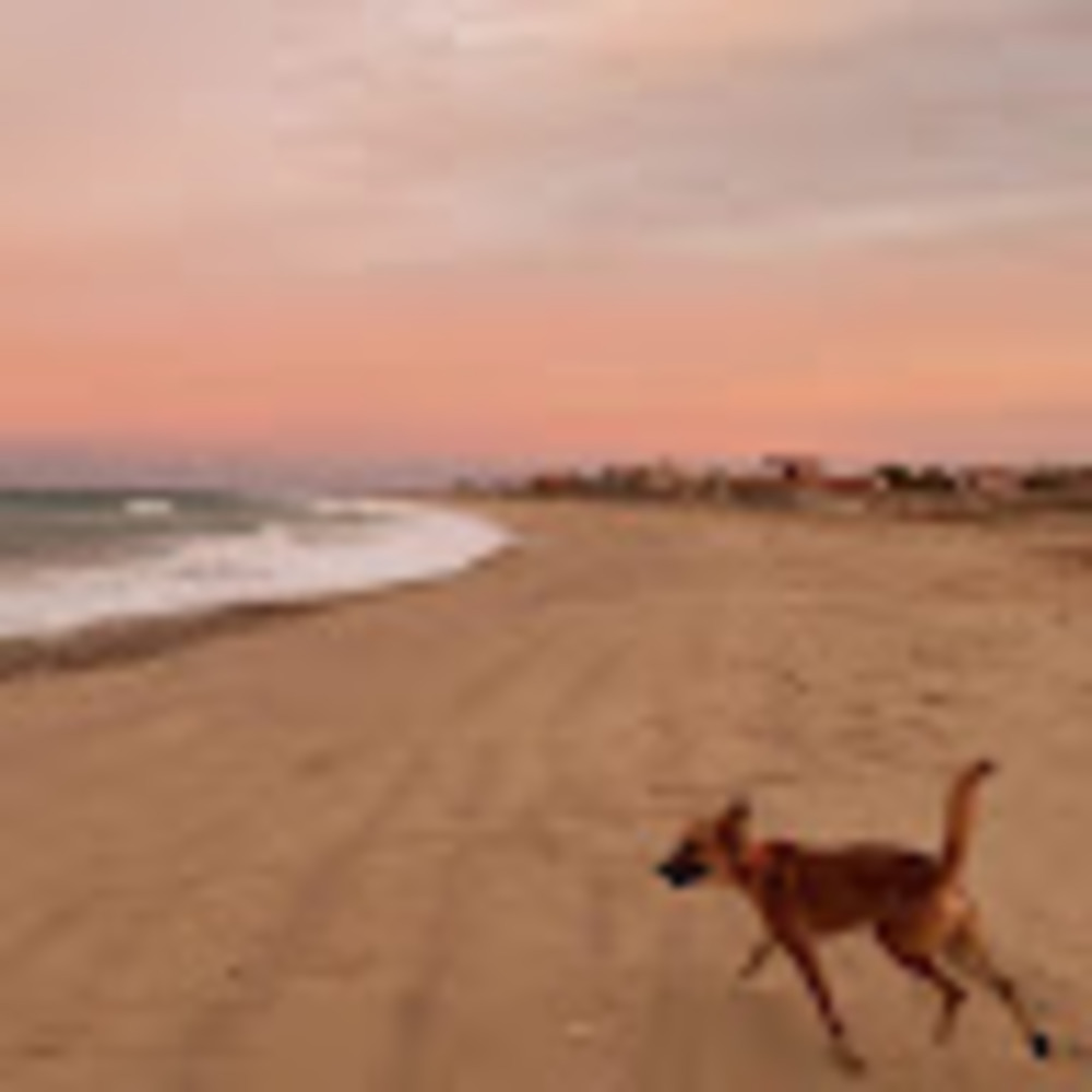 Meet your Posher, Amaya